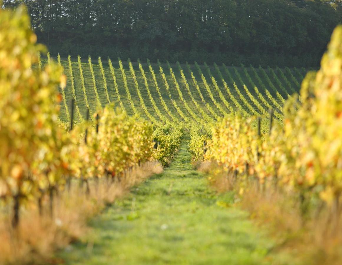 Denbies Vineyard Hotel Dorking Zewnętrze zdjęcie