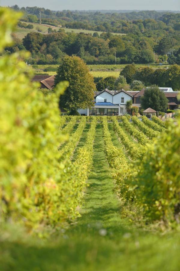 Denbies Vineyard Hotel Dorking Zewnętrze zdjęcie