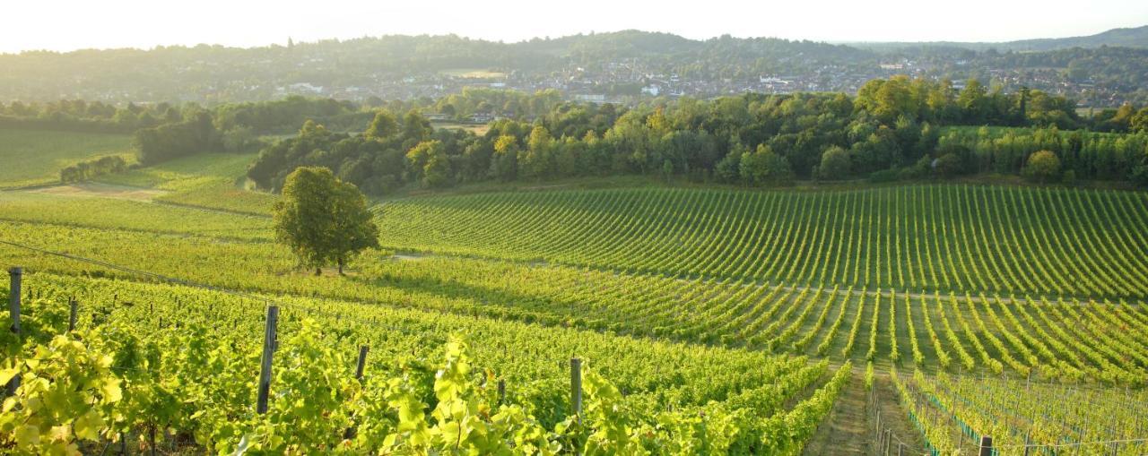 Denbies Vineyard Hotel Dorking Zewnętrze zdjęcie