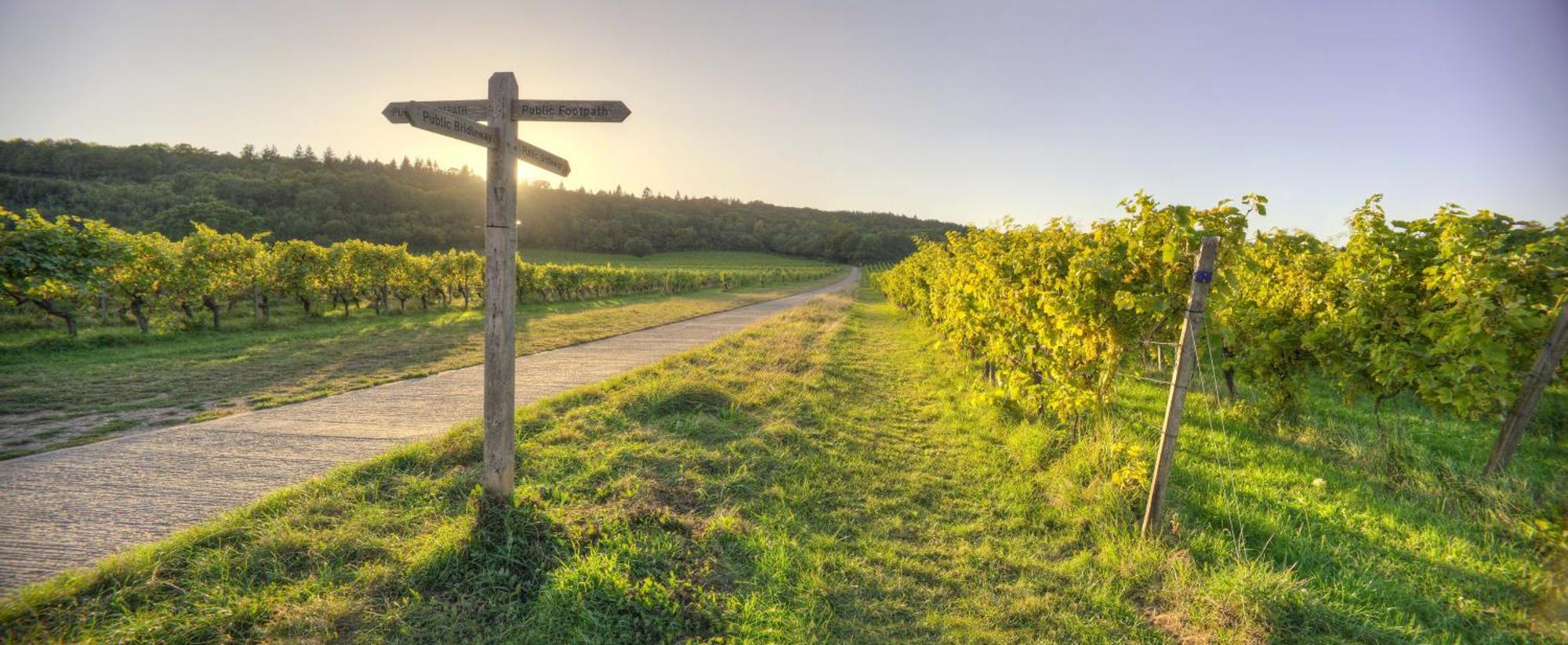 Denbies Vineyard Hotel Dorking Zewnętrze zdjęcie