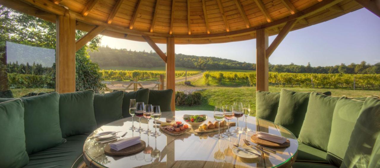 Denbies Vineyard Hotel Dorking Zewnętrze zdjęcie