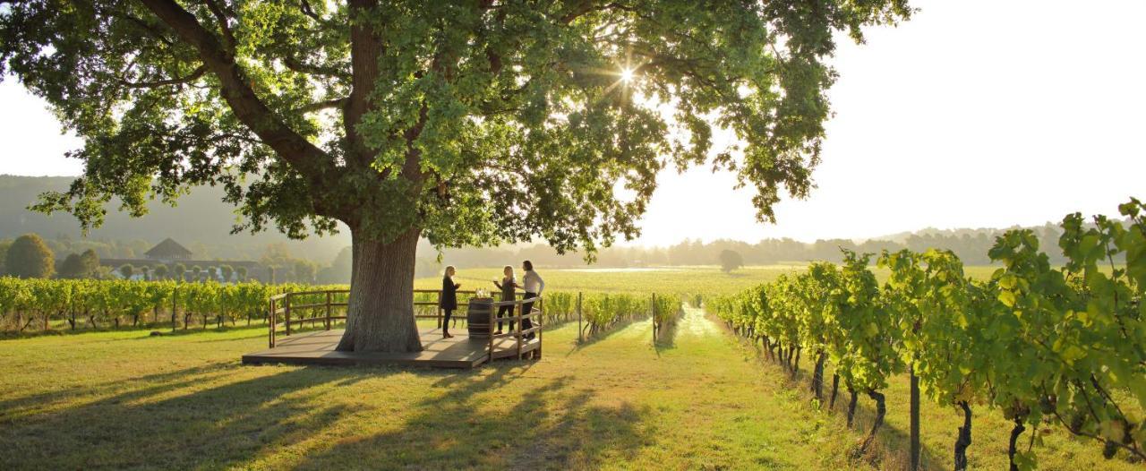 Denbies Vineyard Hotel Dorking Zewnętrze zdjęcie