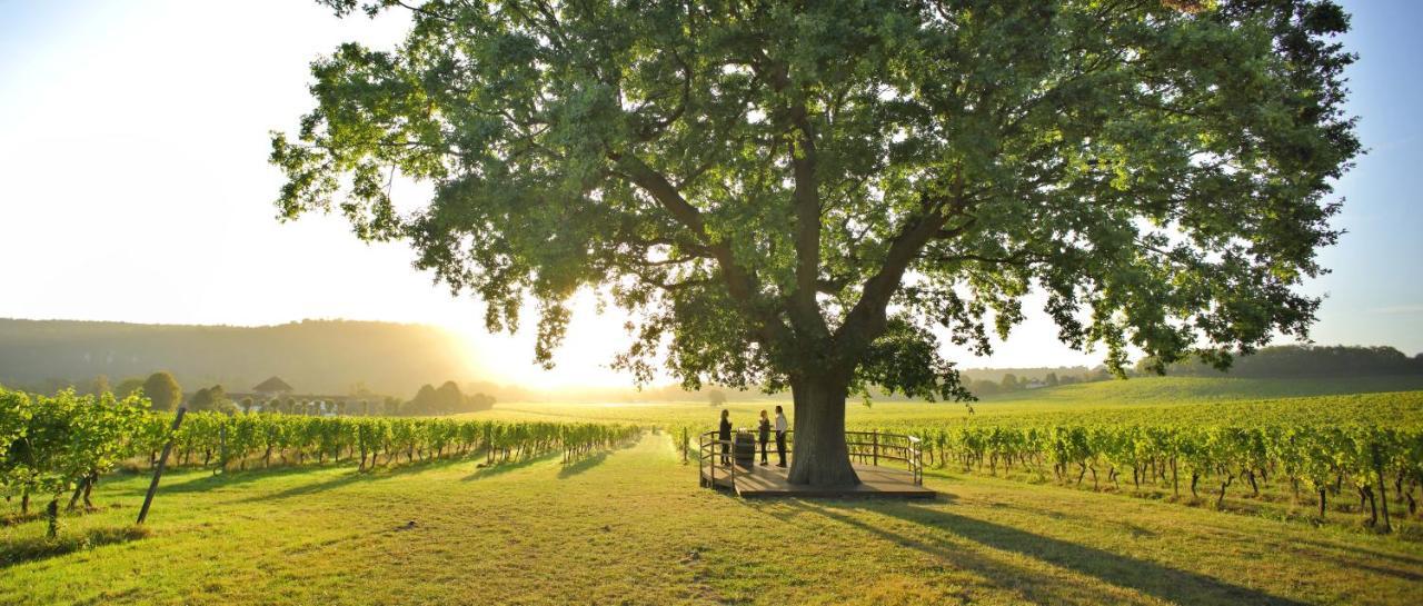 Denbies Vineyard Hotel Dorking Zewnętrze zdjęcie